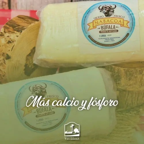 Queso Fresco de Búfala 1lb | Artesanal | Bajo en Sal's photo #1